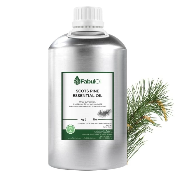 Scots Pine Essential Oil